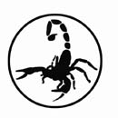 scorpion.jpg